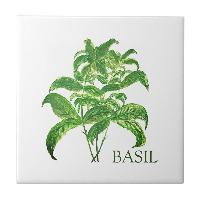 Basil Herb Greenery Kitchen Culinary Green  Tile (Front)