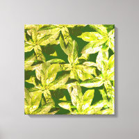 Basil Herb, Kitchen Art,  Wrapped Canvas