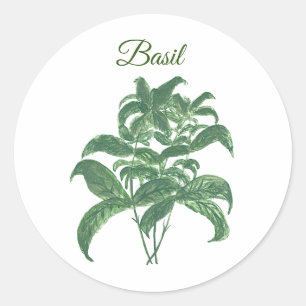 Basil Herbs Greenery Kitchen Green Plant Classic Round Sticker