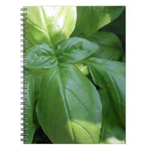 Basil Leaves Spiral Notebook