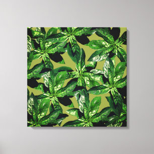 Basil Plant  Photo Pattern Wrapped canvas