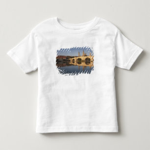 Basilica de Nuestra Senora de Pilar Toddler T-Shirt