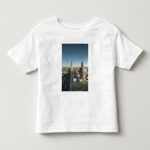 Basilica de Nuestra Senora del Pilar Toddler T-Shirt
