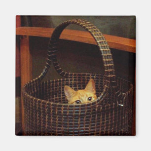 Basket Case Magnet