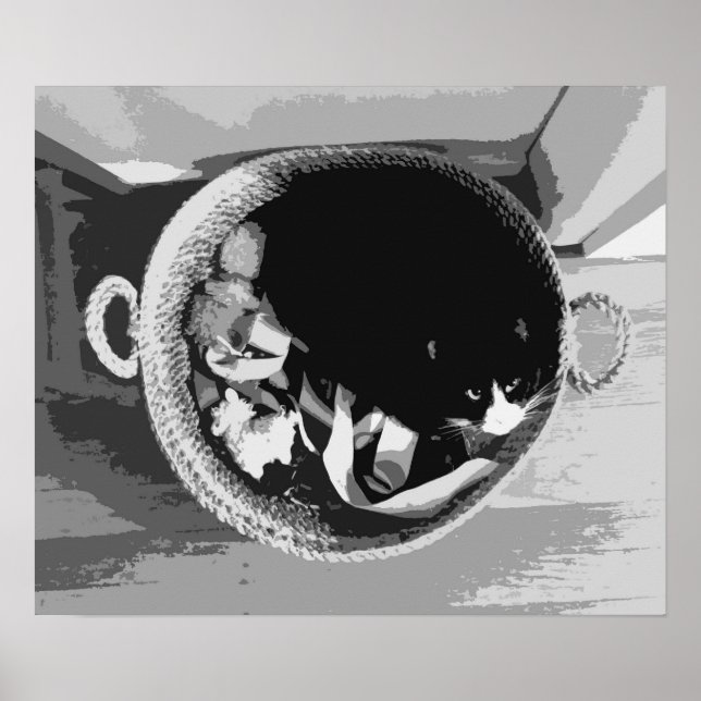 Basket Cat Poster (Front)