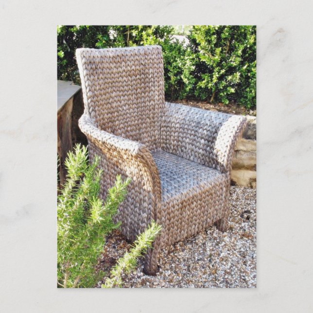 Basket Chair Furniture Postcard (Front)