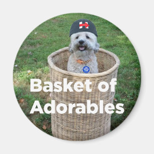Basket of Adorables: Adorable Dogs for Hillary Mag Magnet
