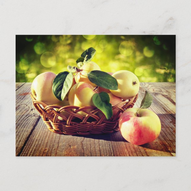 Basket of Apples Postcard (Front)