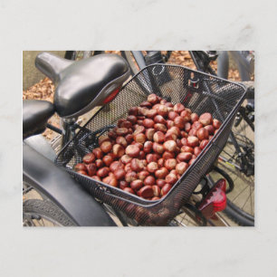Basket of Nuts Postcard
