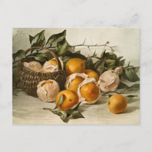 Basket of Oranges Postcard