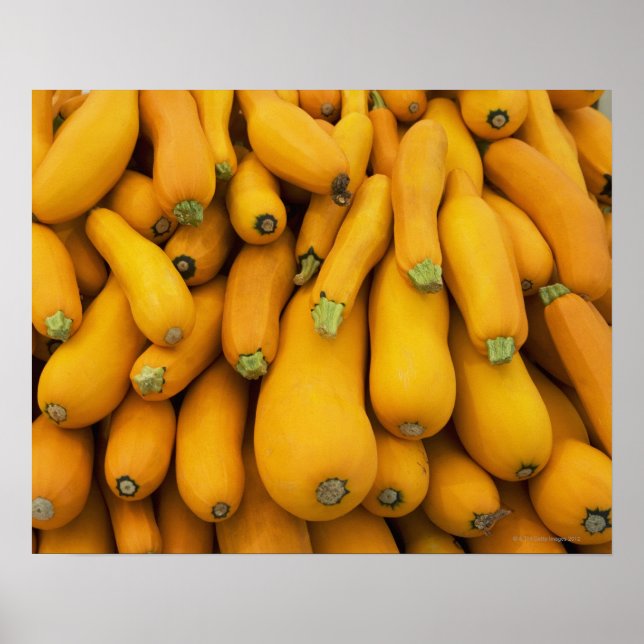 Basket of yellow zucchini poster (Front)