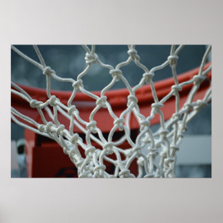 Basketball Net Poster