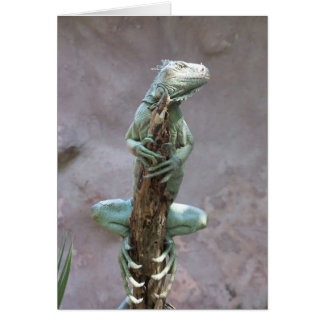 Basking Iguana Card