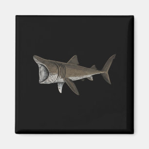 Basking Shark Magnet