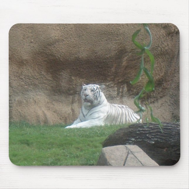 Basking White Tiger Mouse Pad (Front)