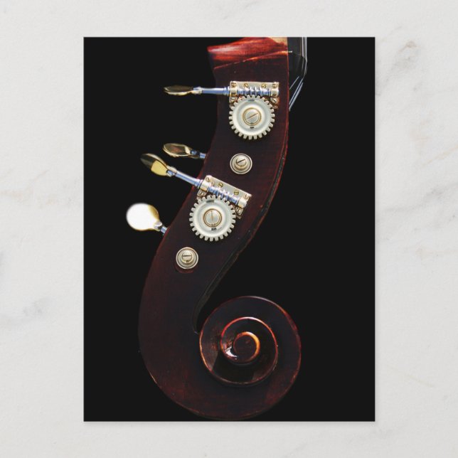 Bass 2 pccnm postcard (Front)