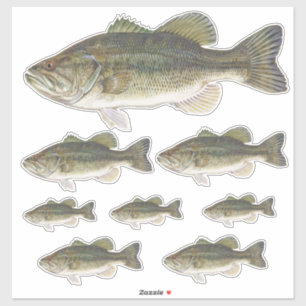 Bass Fish Custom Cut Vinyl Stickers Set