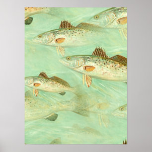 Bass Fish Pattern Poster
