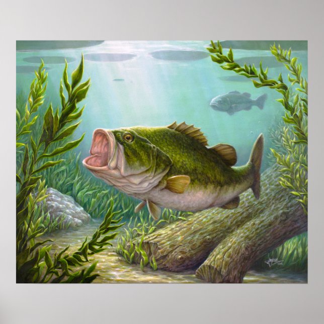 Bass Fish Poster (Front)