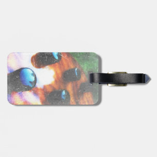 Bass guitar control knobs grunge look tiger eye luggage tag