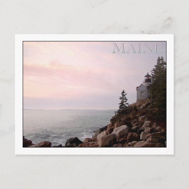 Bass Harbour Head Light, MAINE Postcard (Front)