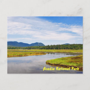 Bass Harbour Marsh Postcard