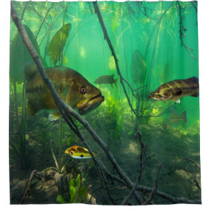 Bass Shower Curtain