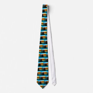 Bass Sunset Tie