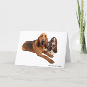 Basset and Bloodhound Buddies Card