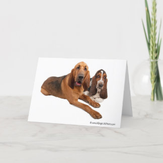Basset and Bloodhound Buddies Card