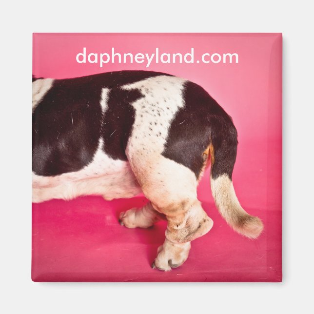 Basset Butt Magnet (Front)