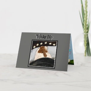 Basset "Counting Sheep" On Funny Birthday Card