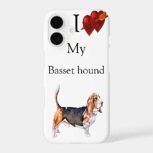 Basset hound