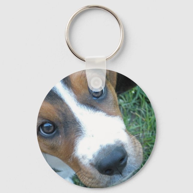 Basset Hound 02 Key Ring (Front)