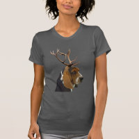 Basset Hound and Antlers
