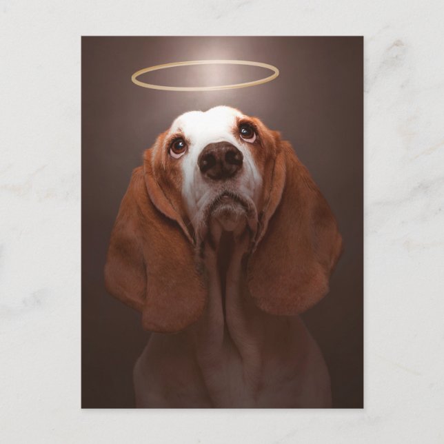 Basset Hound Angel Postcard (Front)