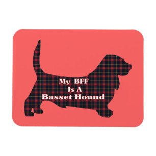 Basset Hound BFF Magnet