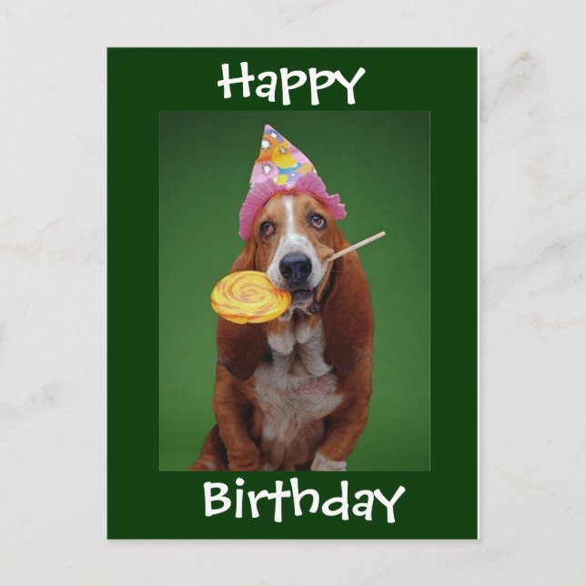Basset Hound Birthday Lollipop Postcard (Front)