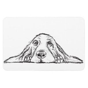 basset hound black white simple puppy dog eyes magnet