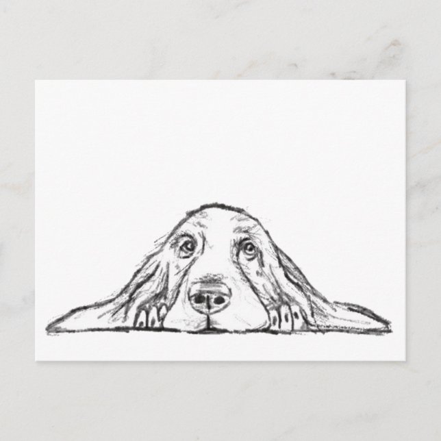 basset hound black white simple puppy dog eyes  postcard (Front)