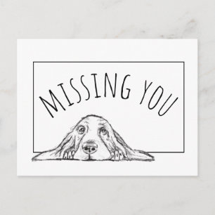 basset hound black white simple puppy dog eyes  postcard