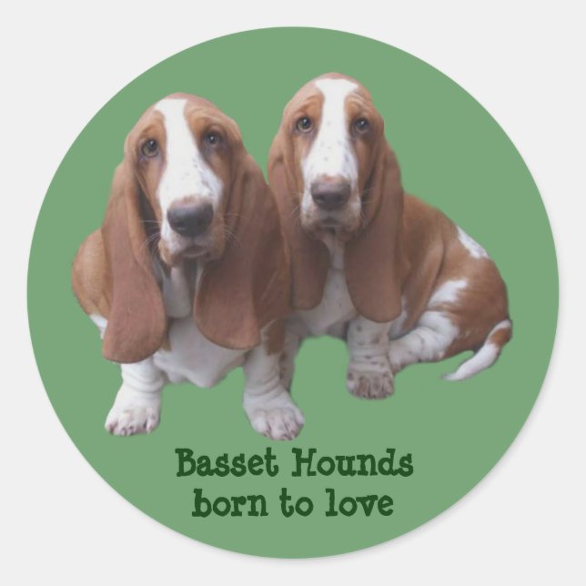 Basset Hound Buddies Sticker (Front)