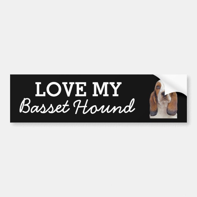 Basset Hound bumper sticker (Front)