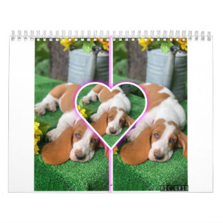 Basset hound calendar