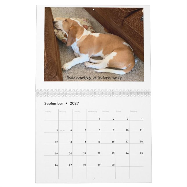 Basset hound calendar (Sep 2027)