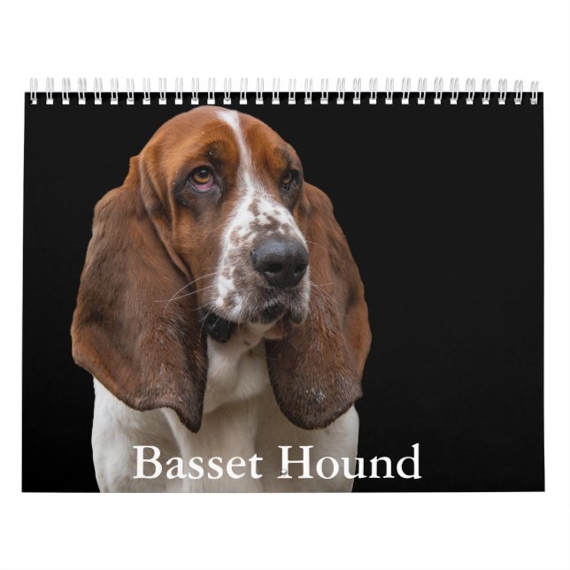 Basset Hound Calendar (Cover)