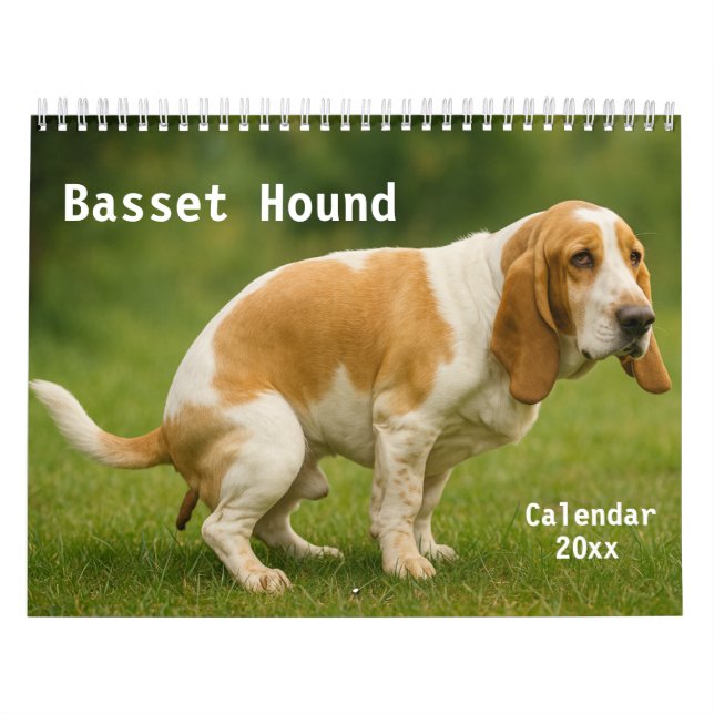 Basset Hound Calendar 2026 (Cover)