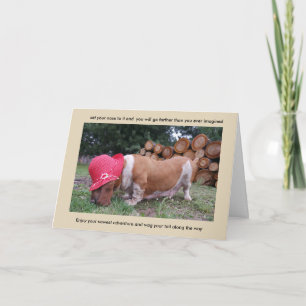 Basset hound card congratulations
