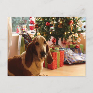 Basset hound Christmas Postcard