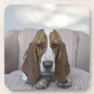 Basset Hound Coaster